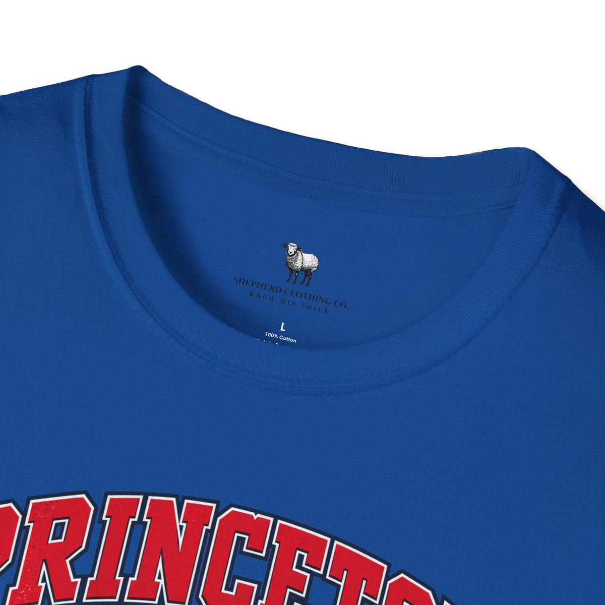 Princeton Theological Seminary Class of 2027 T-Shirt — Graduation Keepsake Tee