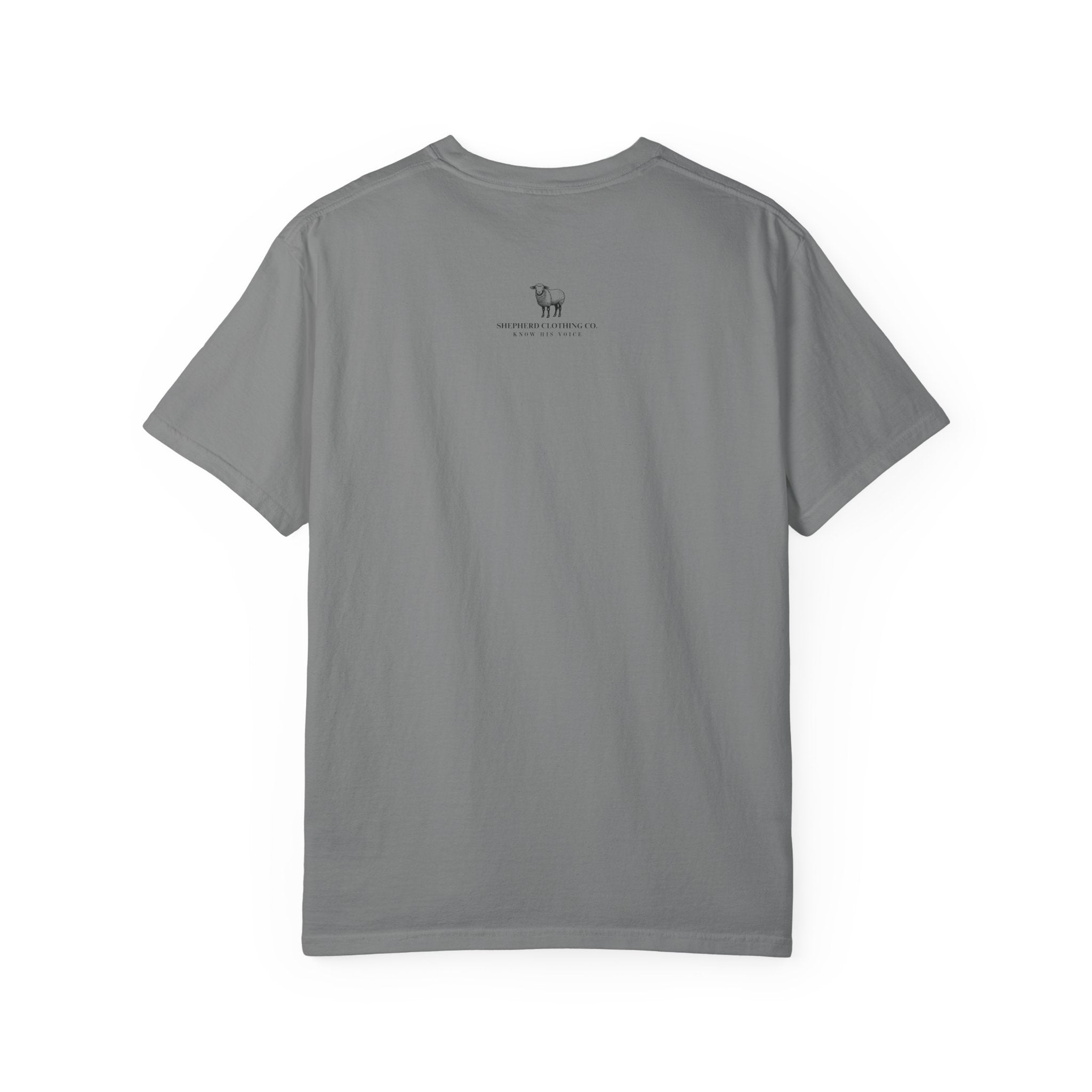 Strength & Dignity T-Shirt — "I Am Clothed With Strength & Dignity" Inspirational Tee