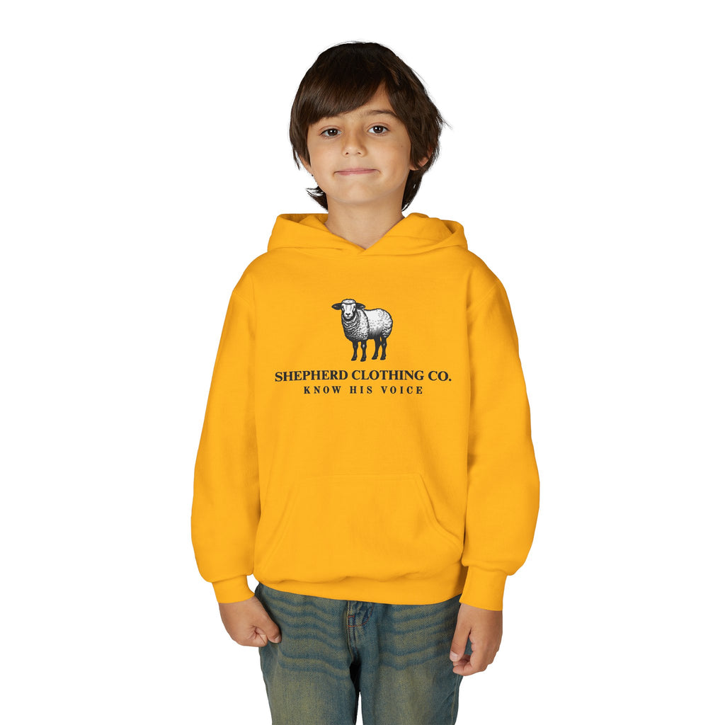 Youth Hoodie — Shepherd Clothing Co. 'Know His Voice' Lamb Graphic