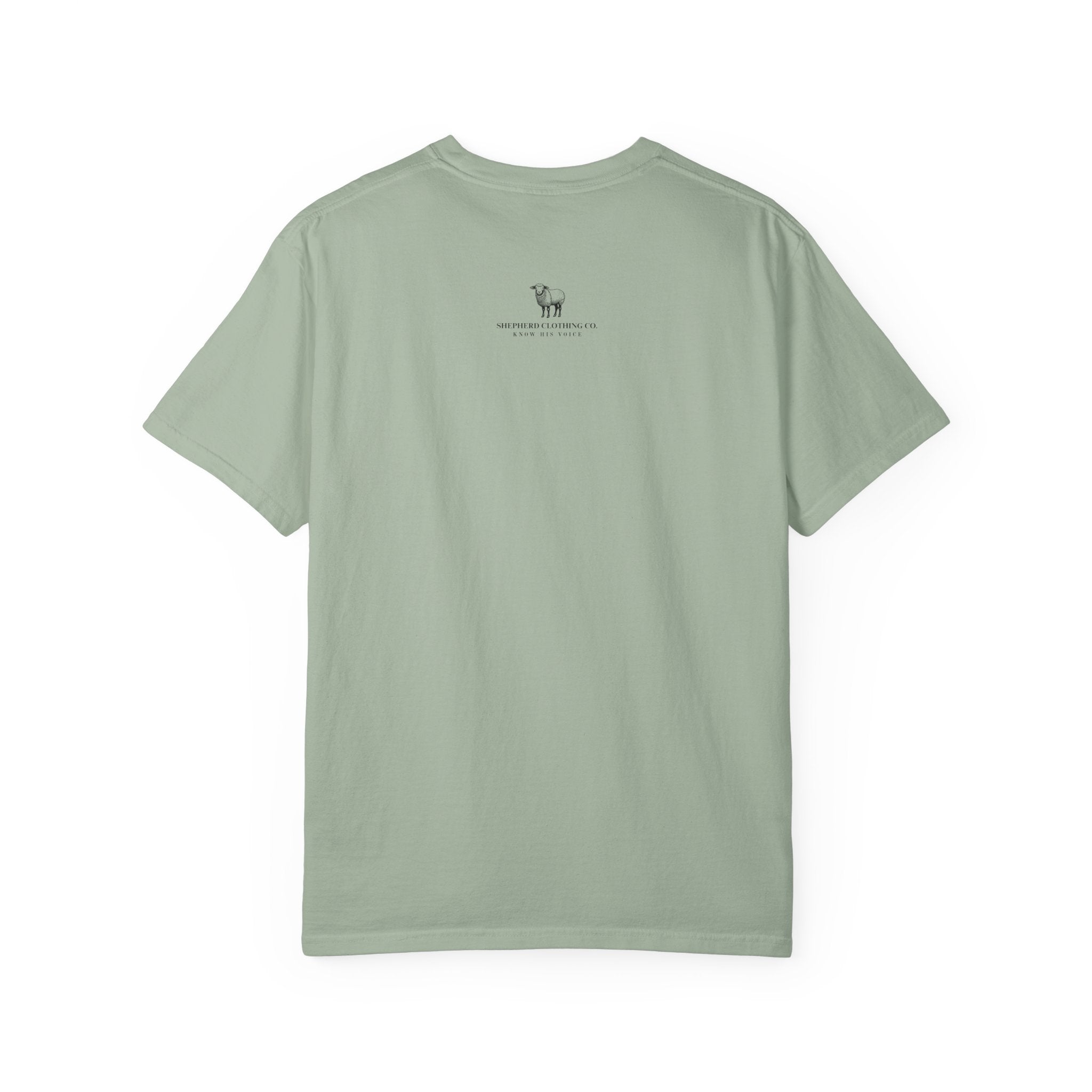 Strength & Dignity T-Shirt — "I Am Clothed With Strength & Dignity" Inspirational Tee