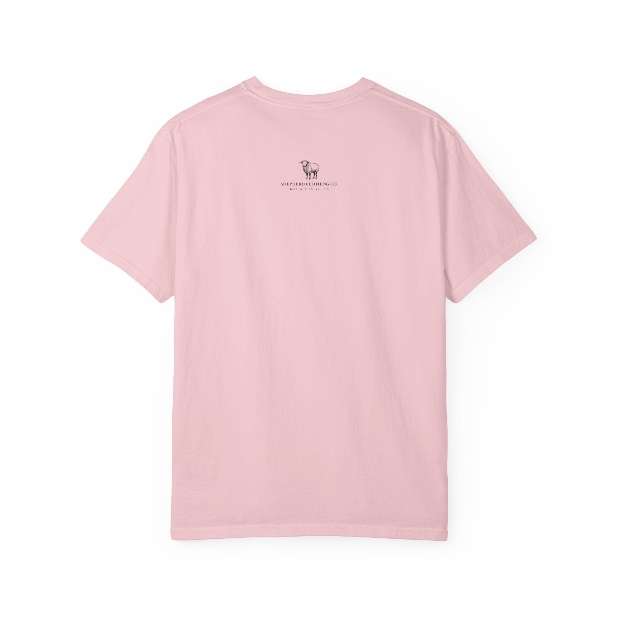 Strength & Dignity T-Shirt — "I Am Clothed With Strength & Dignity" Inspirational Tee