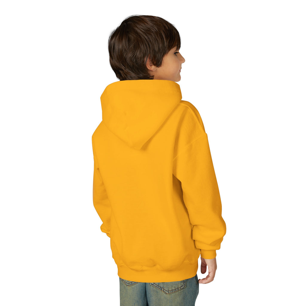 Youth Hoodie — Shepherd Clothing Co. 'Know His Voice' Lamb Graphic