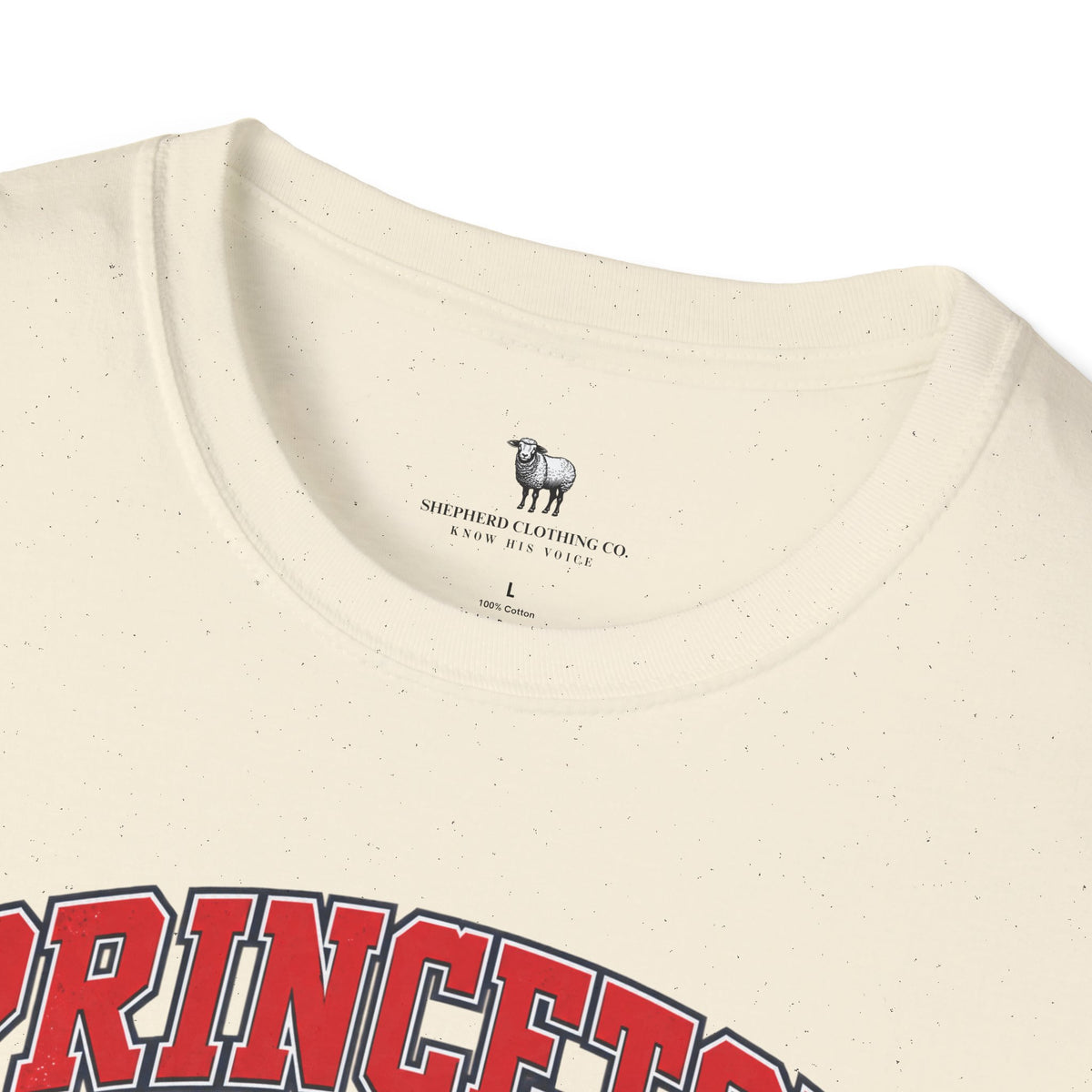Princeton Theological Seminary Class of 2027 T-Shirt — Graduation Keepsake Tee