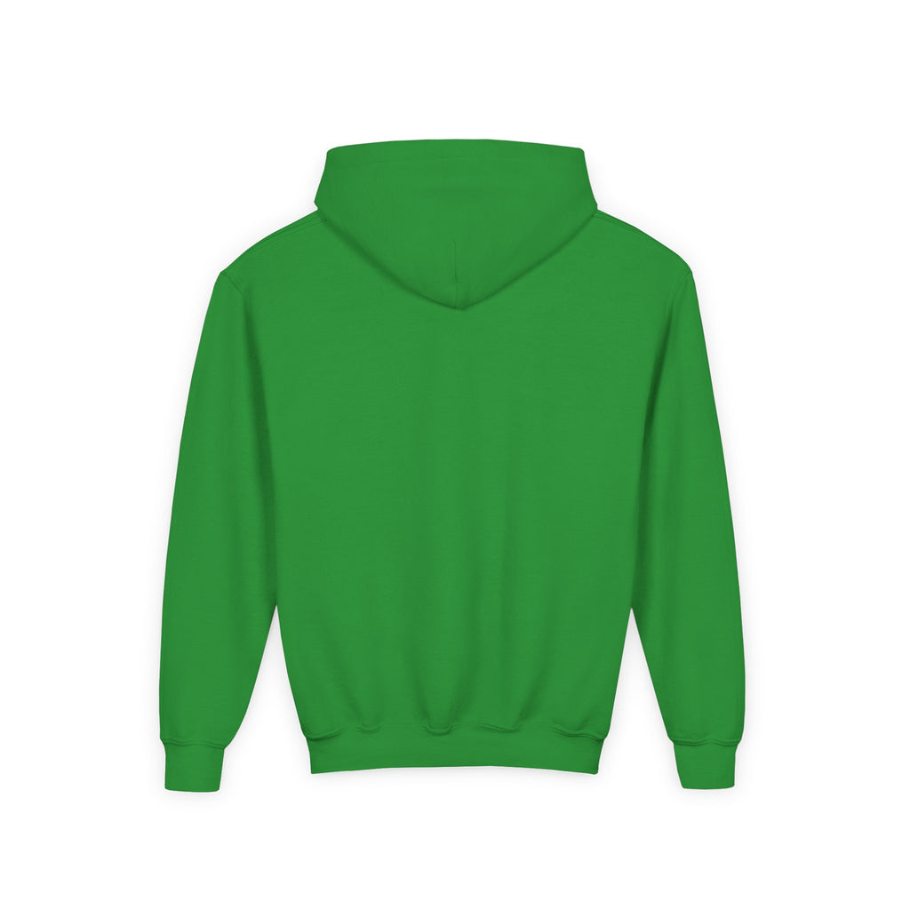 Youth Hoodie — Shepherd Clothing Co. 'Know His Voice' Lamb Graphic