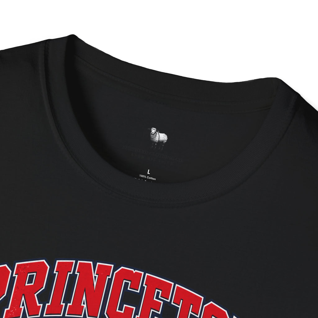 Princeton Theological Seminary Class of 2027 T-Shirt — Graduation Keepsake Tee