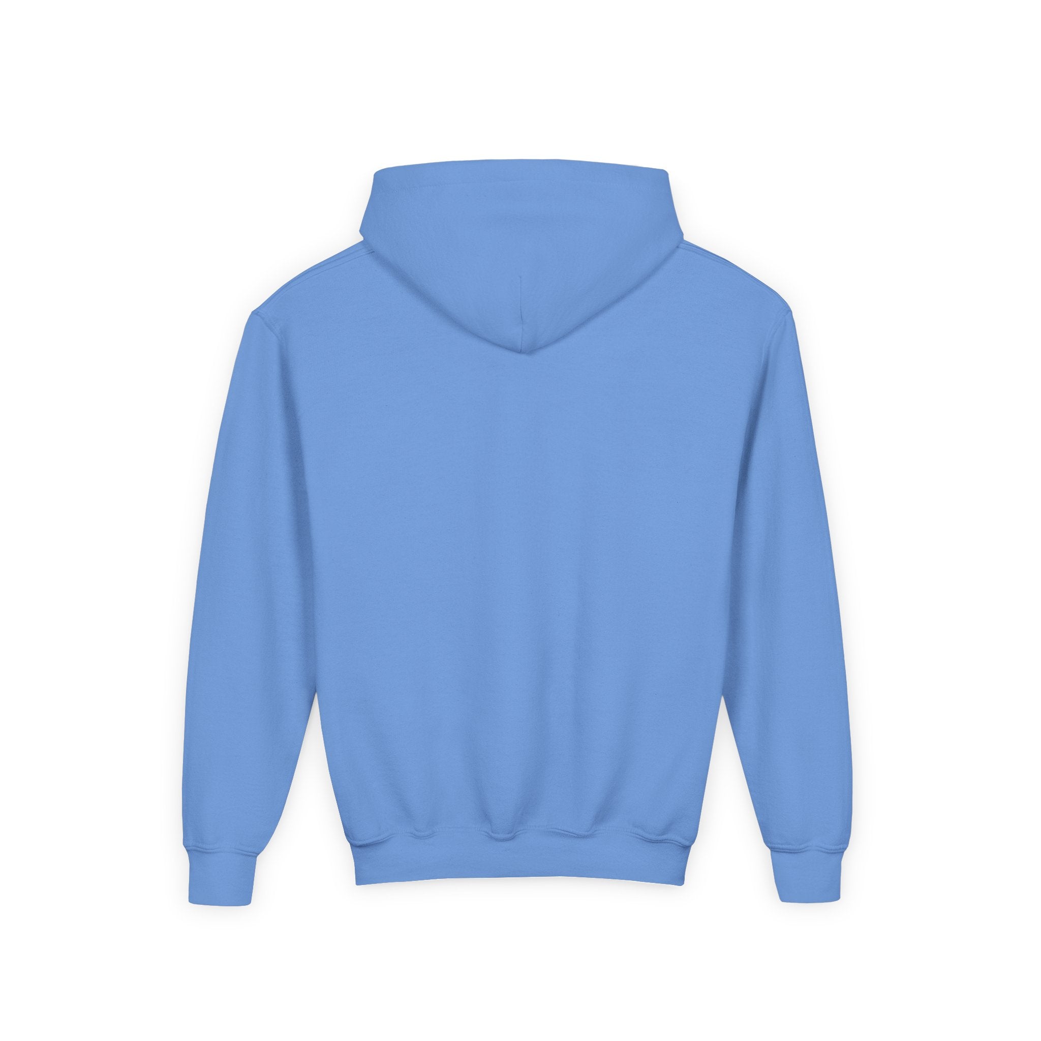 Youth Hoodie — Shepherd Clothing Co. 'Know His Voice' Lamb Graphic