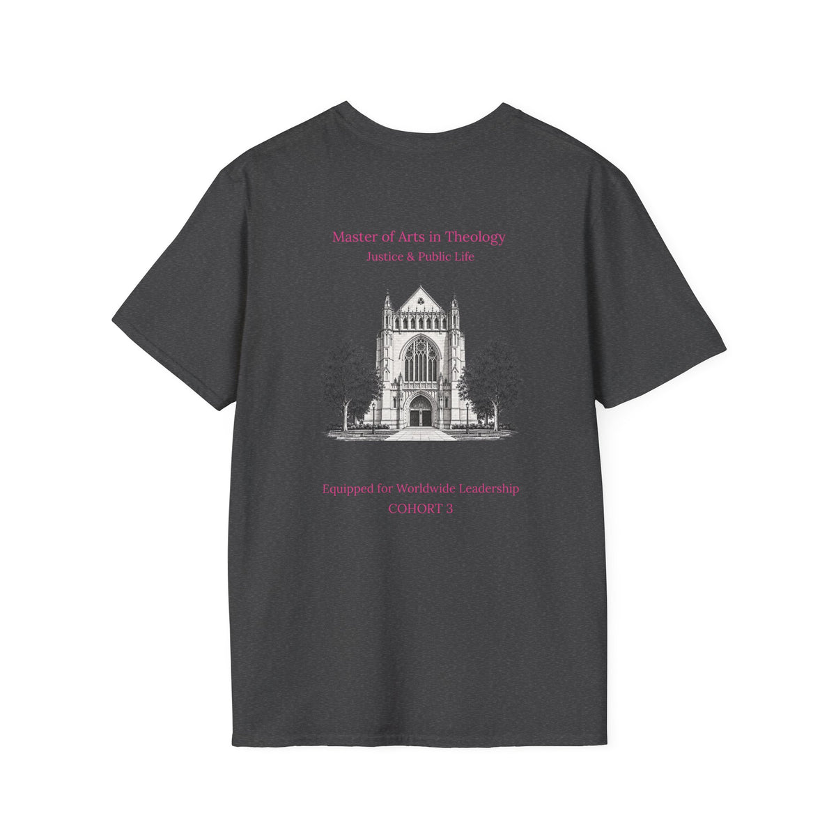Princeton Theological Seminary Class of 2027 T-Shirt (Pink Lettering for AKA's)
