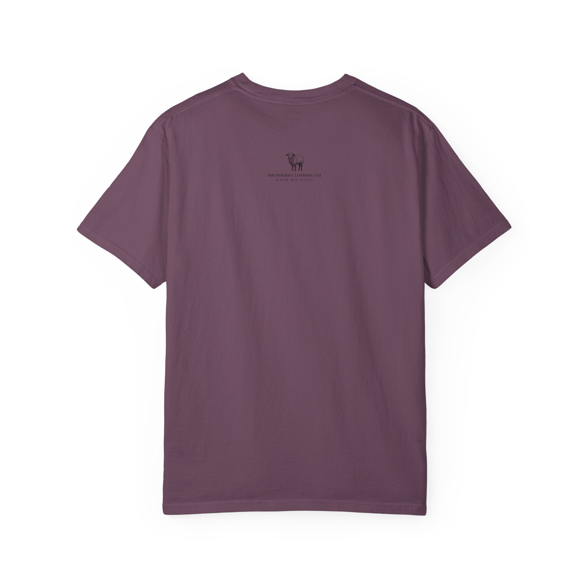 Strength & Dignity T-Shirt — "I Am Clothed With Strength & Dignity" Inspirational Tee