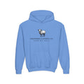 Youth Hoodie — Shepherd Clothing Co. 'Know His Voice' Lamb Graphic