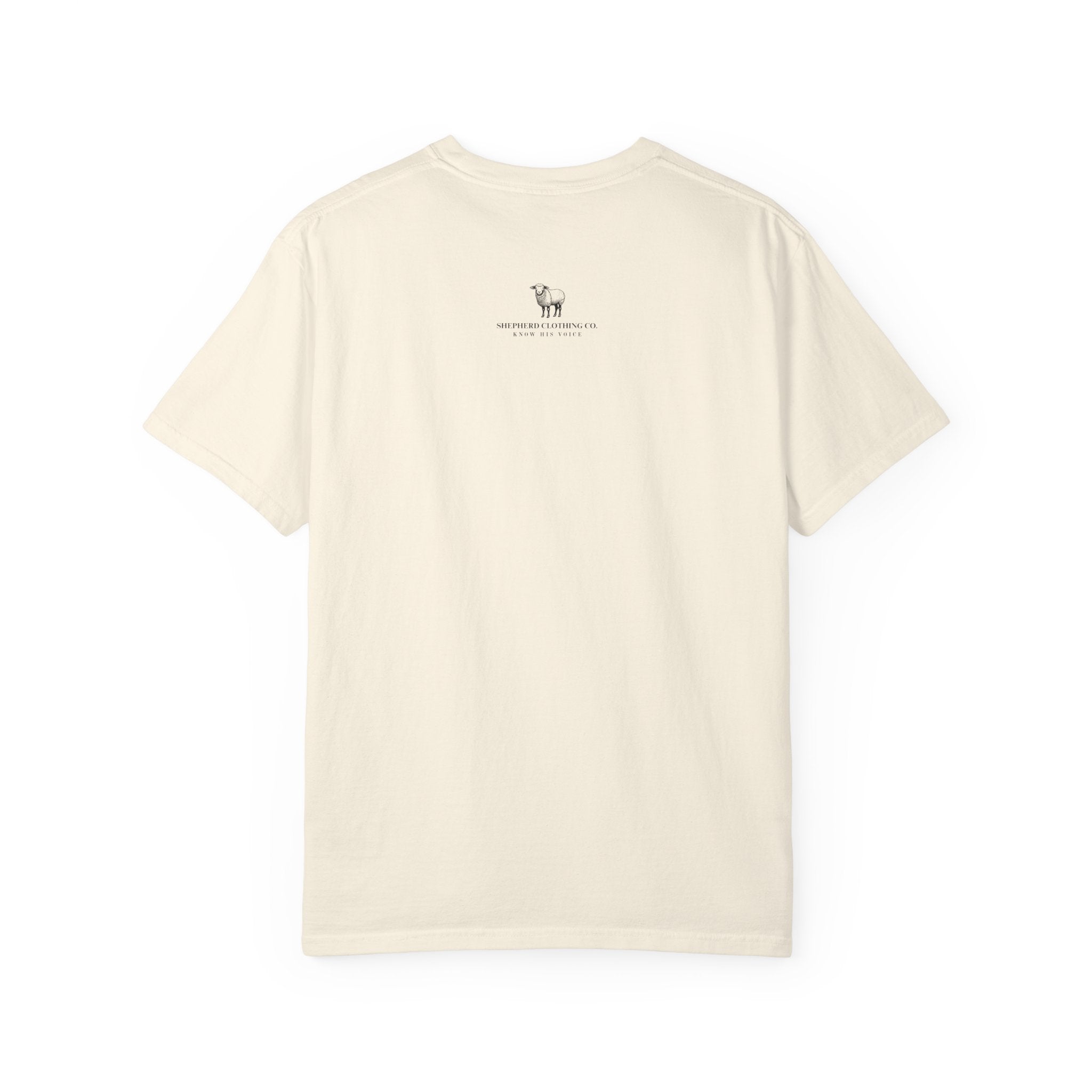 Strength & Dignity T-Shirt — "I Am Clothed With Strength & Dignity" Inspirational Tee