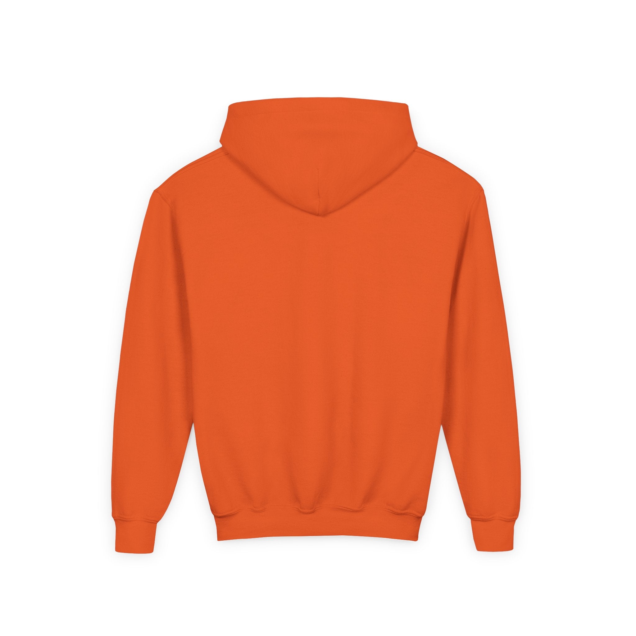 Youth Hoodie — Shepherd Clothing Co. 'Know His Voice' Lamb Graphic