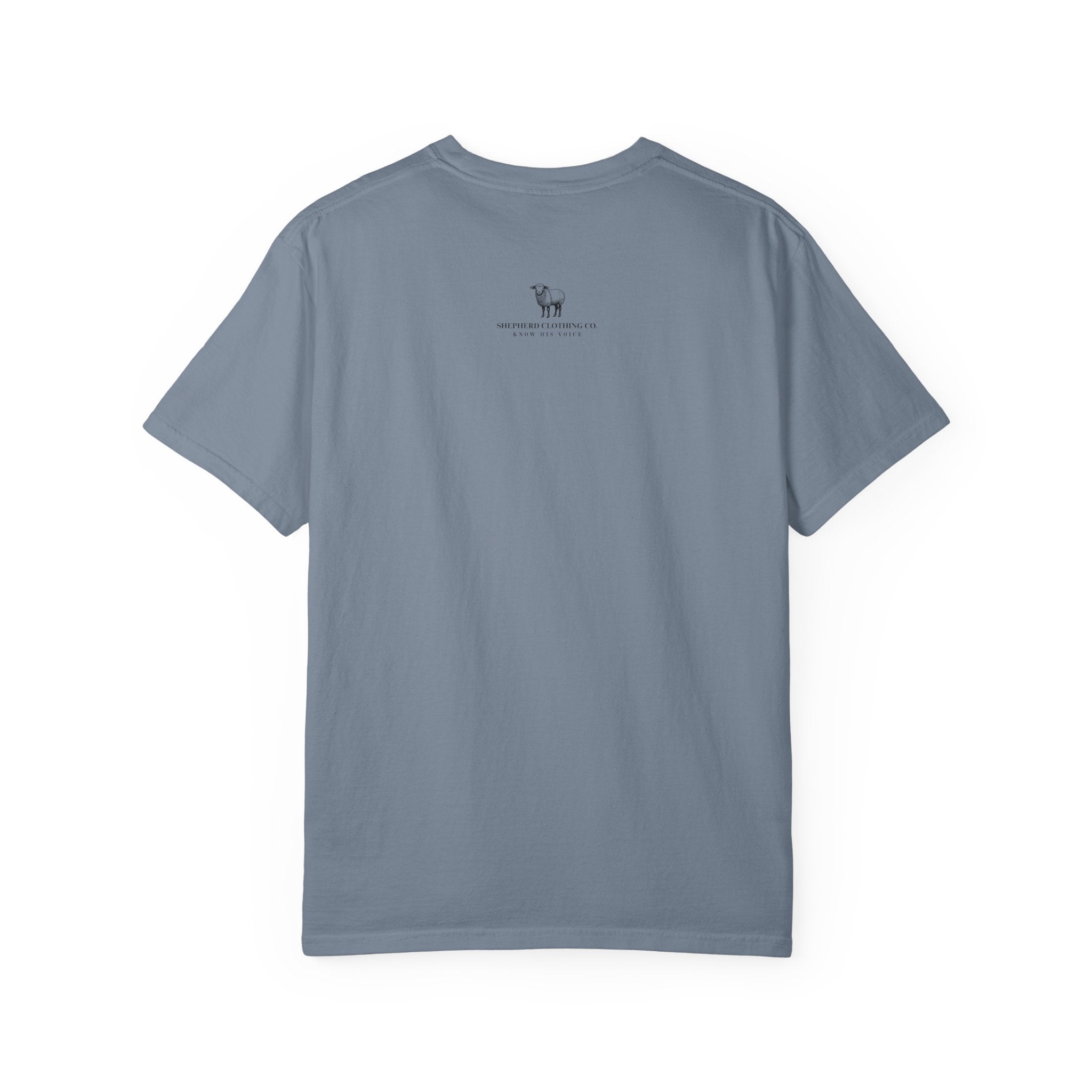 Strength & Dignity T-Shirt — "I Am Clothed With Strength & Dignity" Inspirational Tee