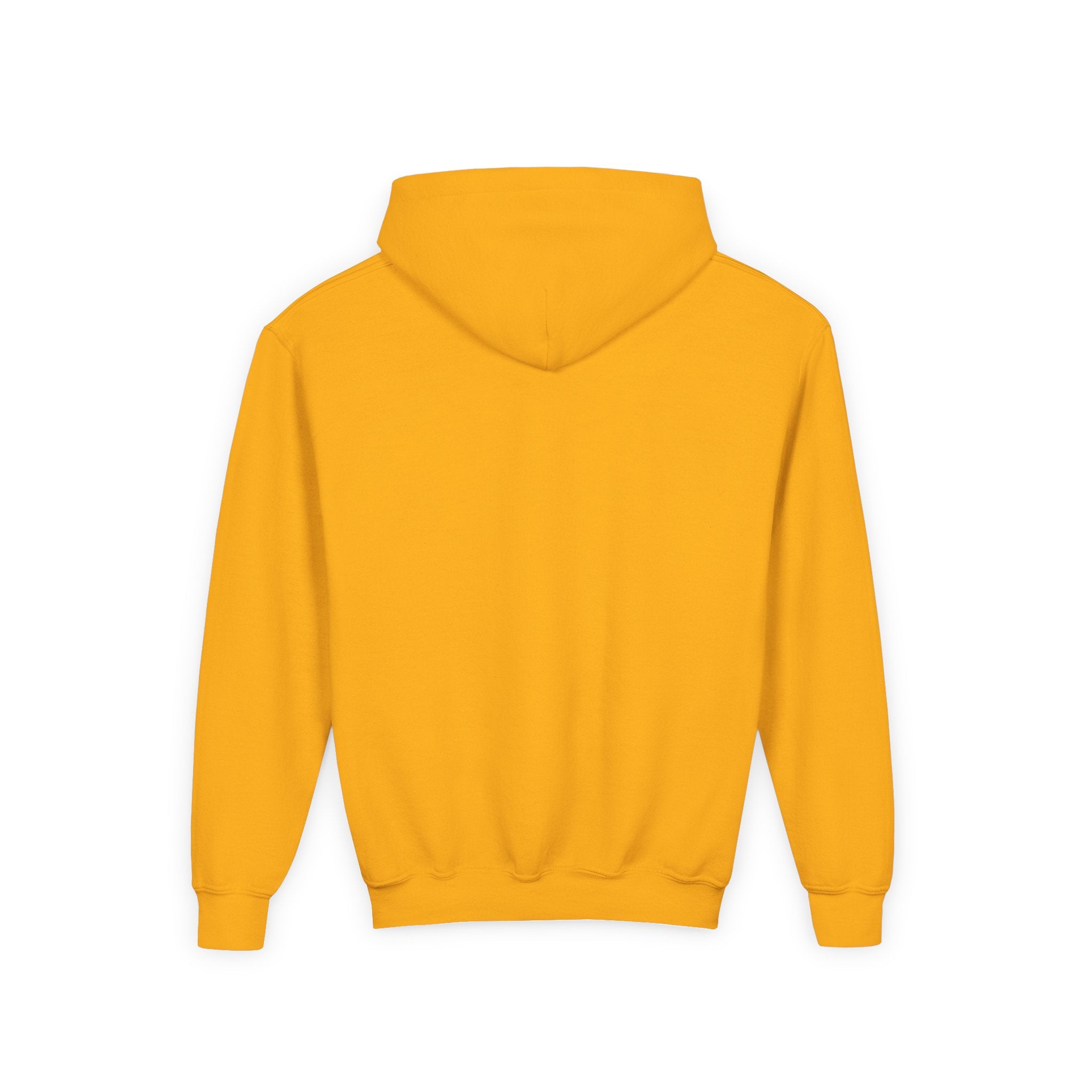 Youth Hoodie — Shepherd Clothing Co. 'Know His Voice' Lamb Graphic