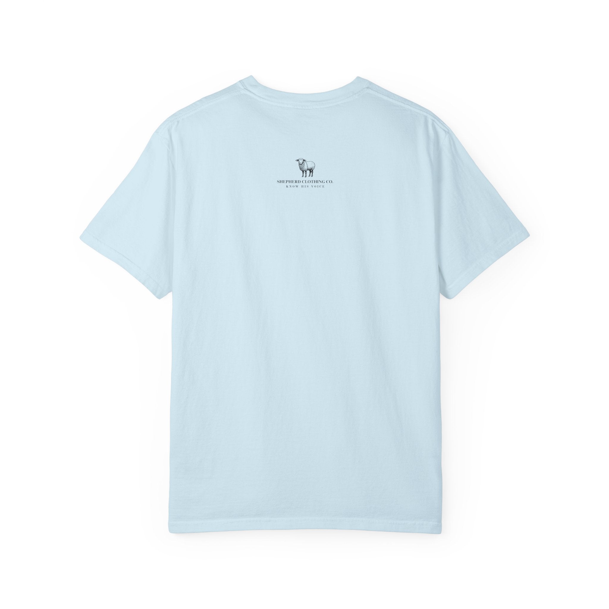 Strength & Dignity T-Shirt — "I Am Clothed With Strength & Dignity" Inspirational Tee